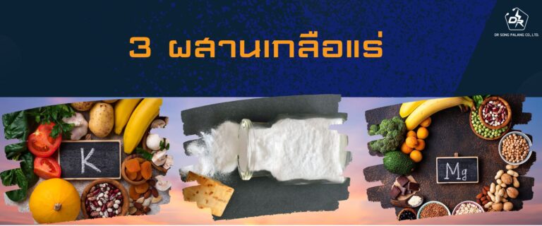 Essential mineral แลคติก
