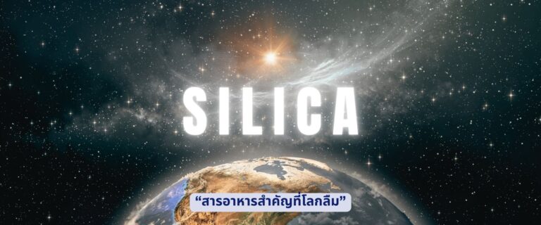 Silica แลคติก