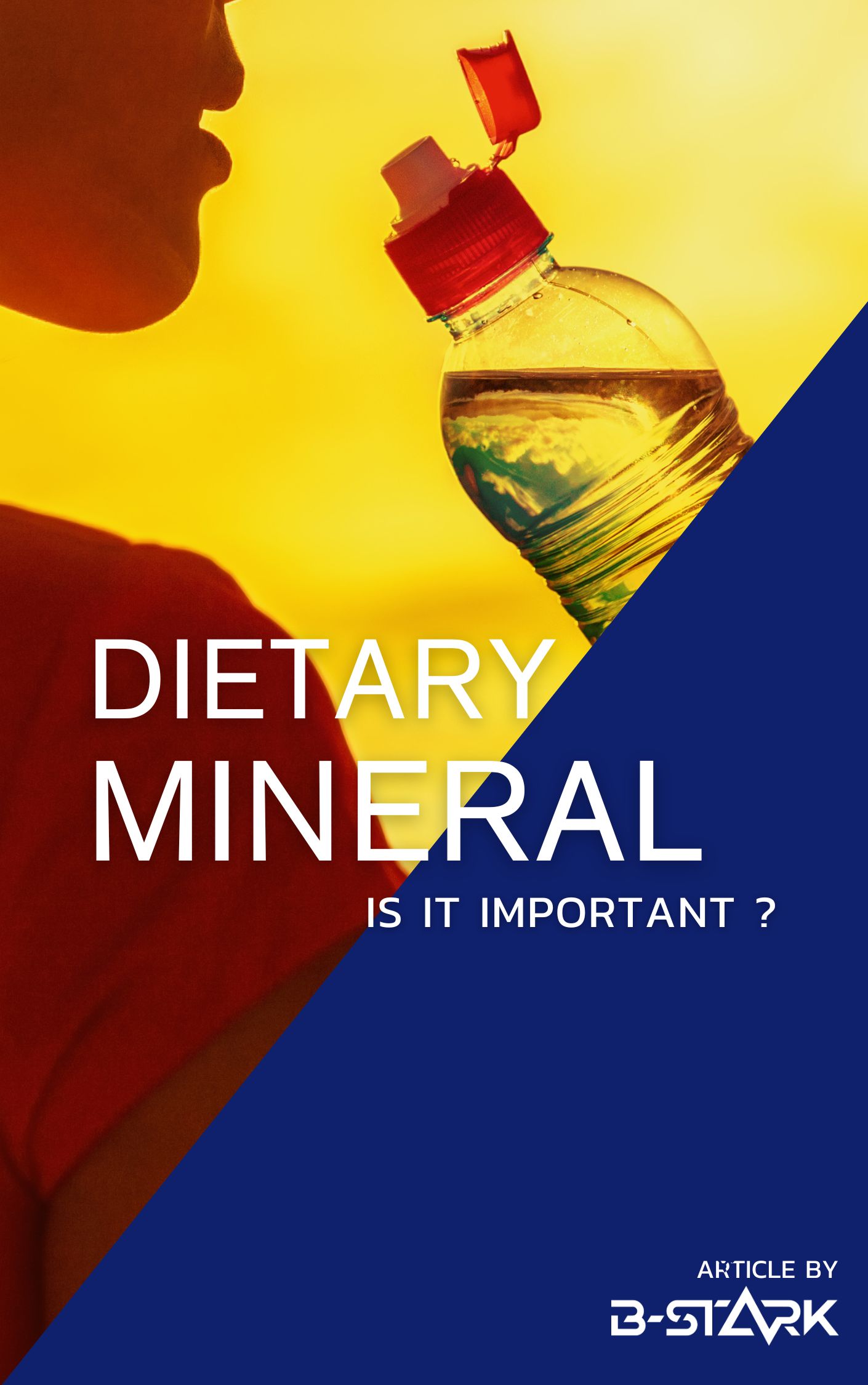 Mineral (แลคติก)