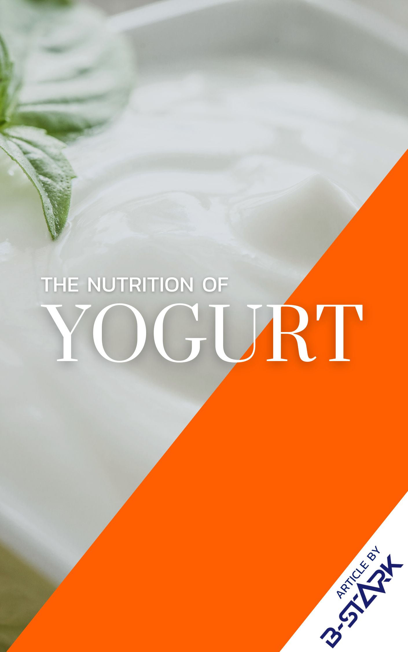 Yogurt (lactic)