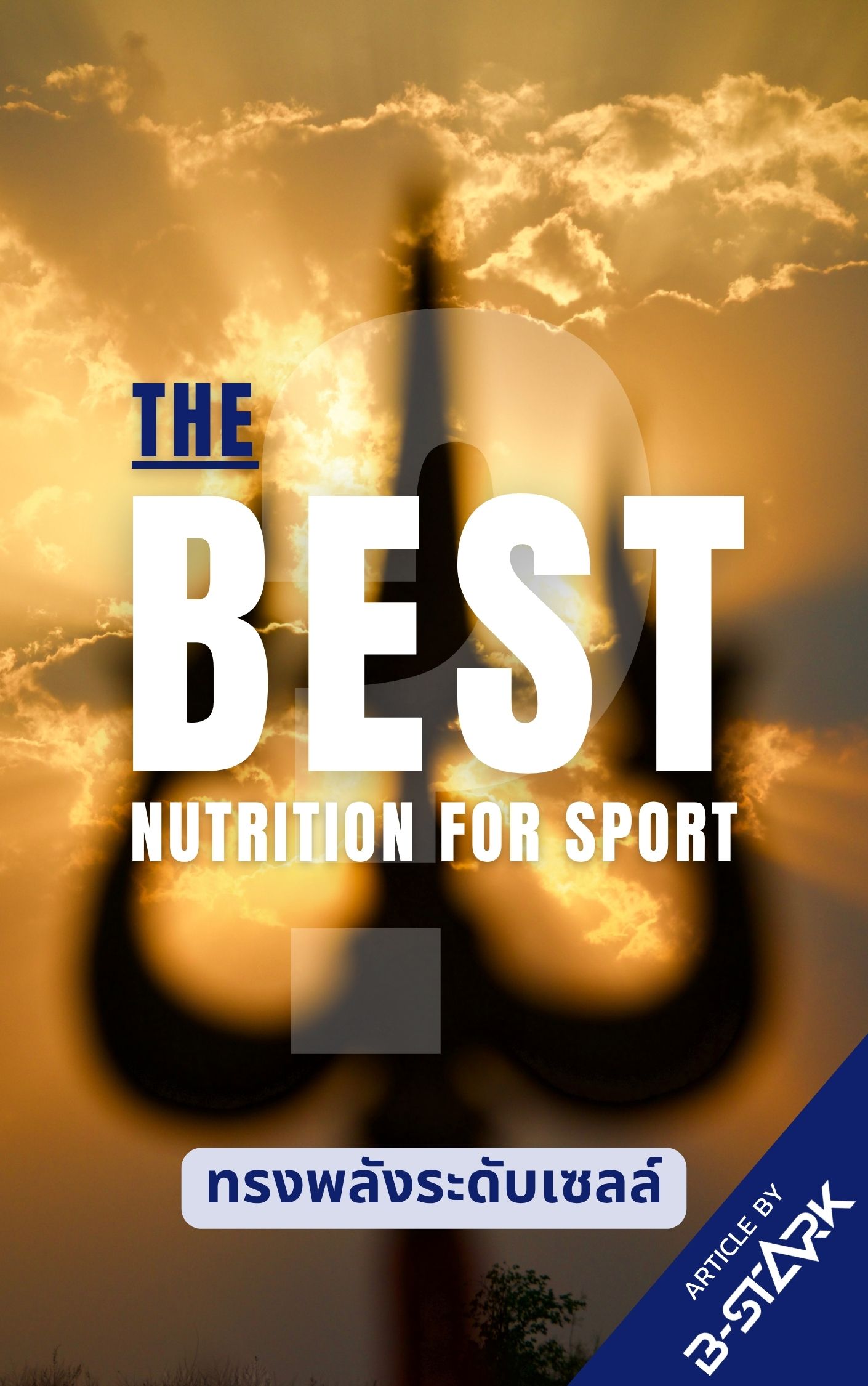 Nutrition of power (lactic)